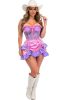 Top Drawer 2 PC Steel Boned Purple/Pink Mesh Underwire Bustier Corset & Skirt Set